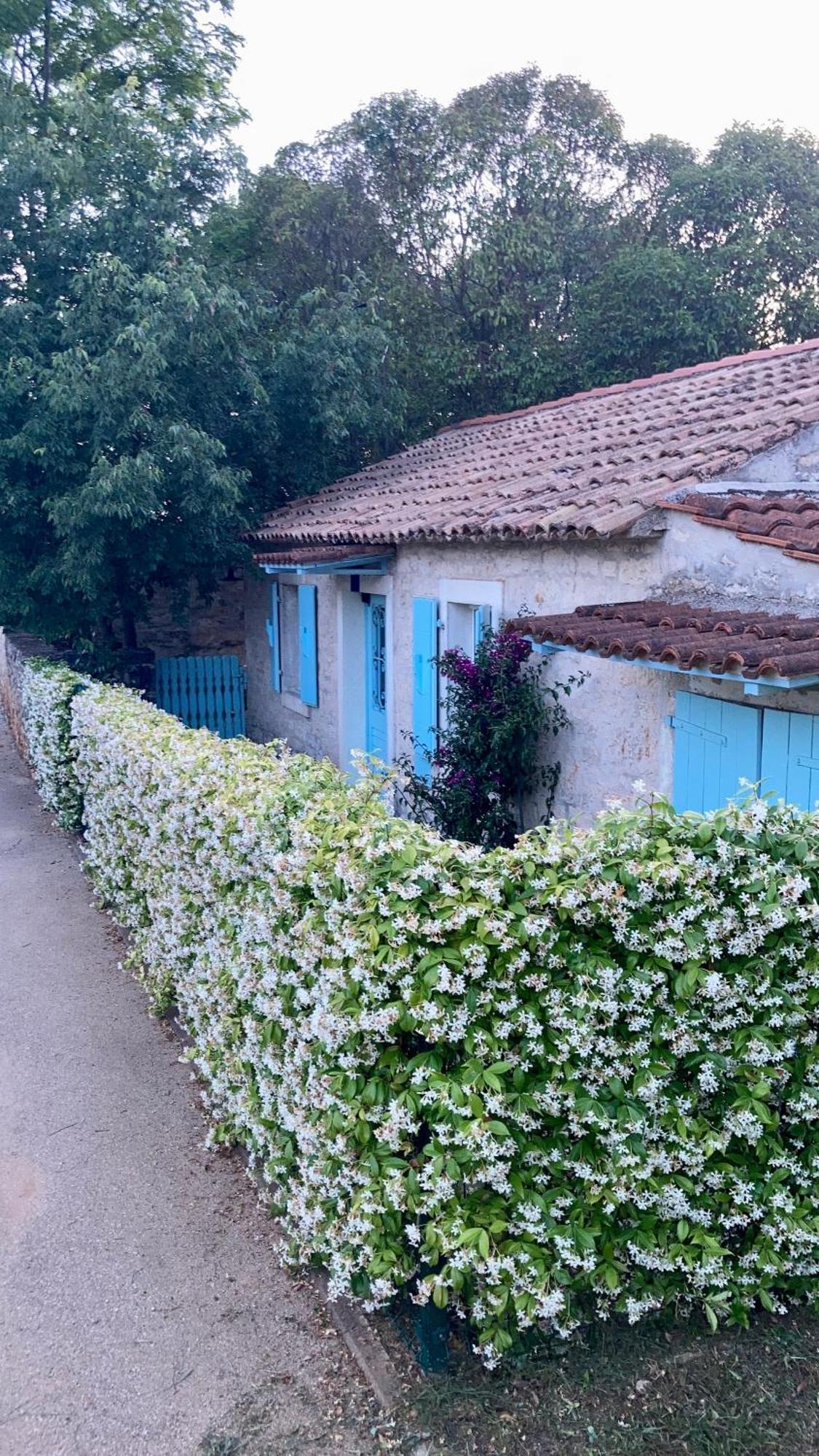 Vila Majda Tar-Vabriga Exterior foto
